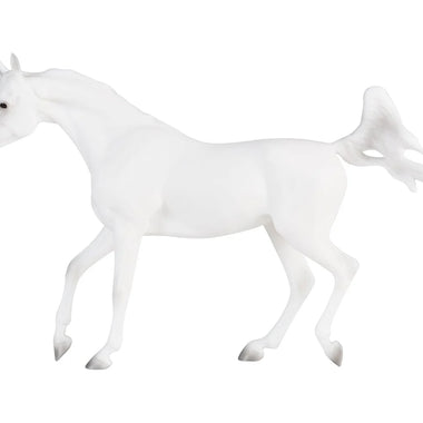 Grey Arabian