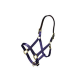 Nylon halter with leather head strap