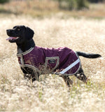 Amigo Ripstop Waterproof Dog Coat