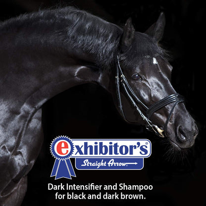 Quic Black - Dark Intensifier & Shampoo
