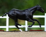 Polo Ponies