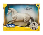 Jaguel Hilton | Criollo Stallion