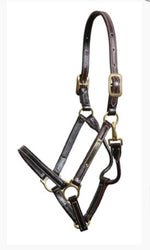 Showman Halter