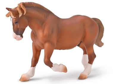 Chestnut Breton Draft Horse Stallion