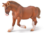 Chestnut Breton Draft Horse Stallion