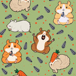 Pair and a Spare Hampsters