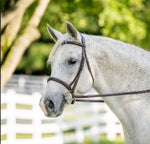 Holly Bridle