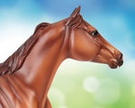 Apollitical Jess | American Quarter Horse Sprinter