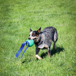 KOREflex Ball and Tail for Dogs