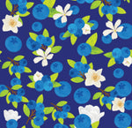Blueberries Pair and a Spare