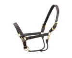 Kentucky Halter