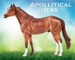 Apollitical Jess | American Quarter Horse Sprinter