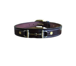 Snaffle bit Dog Collar