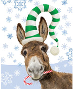BOXED CHRISTMAS CARDS: Donkey & Candy