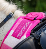 Newmarket Exercise Sheet