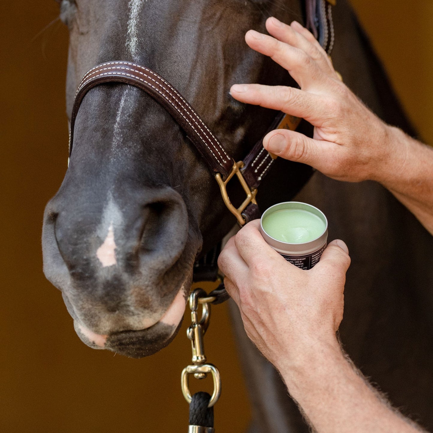 AgSilver CleanBalm™