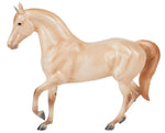 Champagne Quarter Horse Cross