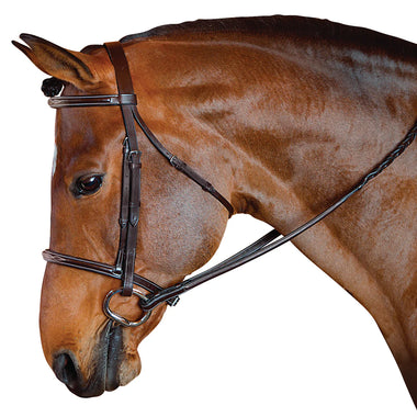 Standard Hunter Bridle