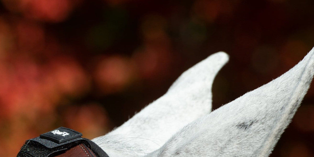 Demi-tampon EquiFit ImpacTeq - Occasion - Matelassure Cheval