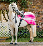 Newmarket Exercise Sheet