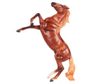 Chestnut Mustang