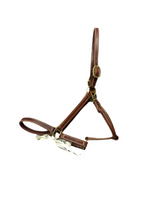 Leather Halter