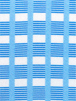Girls "Luna II" Light Blue Long Sleeve Performance Show Shirt with Blue Checks Trim