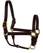 Dark Brown Leather Halter With Adjustable Chin Strap