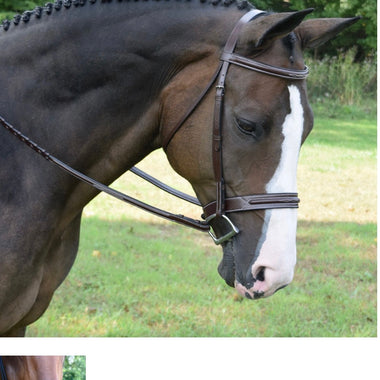 Red Barn Bridlework Sonoma Hunter Bridle