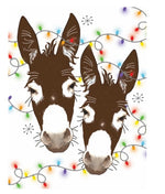 Donkeys With Christmas Lights