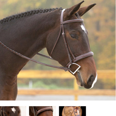 Red Barn Tryon Bridle