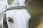 KL Select Hampton Bridle