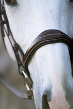 KL Select Hampton Bridle