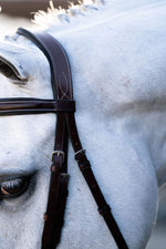 KL Select Hampton Bridle
