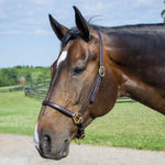 Leather Grooming Halter