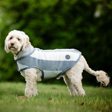 Newmarket Dog Fleece