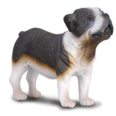 Breyer CollectA Bull Dog