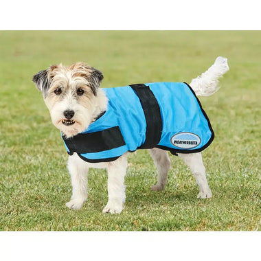 WeatherBeeta Therapy-Tec Cooling Dog Coat