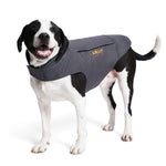 Ariat Duracanvas Dog Coat