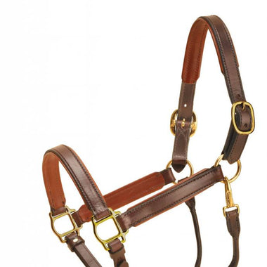 Leather 1” Padded Halter