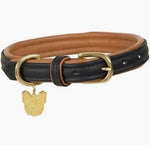 Digby and Fox Padded Leather Dog Collar