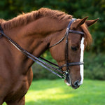 Fancy Stitched Plain Reins