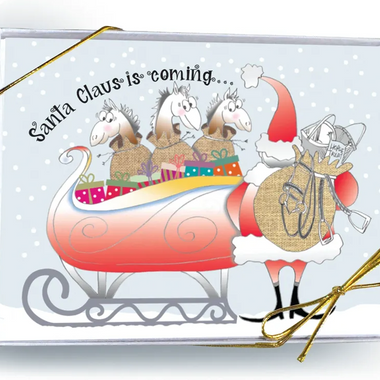 Santa Claus is coming... Holiday Cards