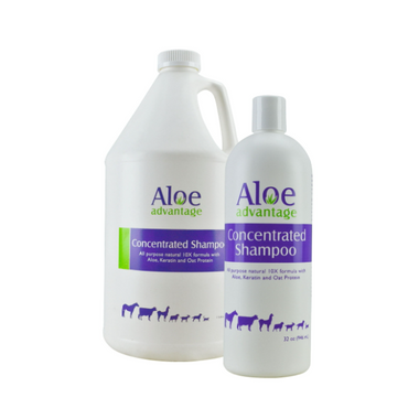 Aloe Advantage Concentrated Shampoo