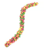 Nerds Rope Rainbow