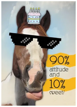 "90% Attitude and 10% Sweet!" Birthday Card