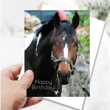 "Sending Good Luck your way" Birthday Card