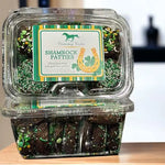 Shamrock Patties