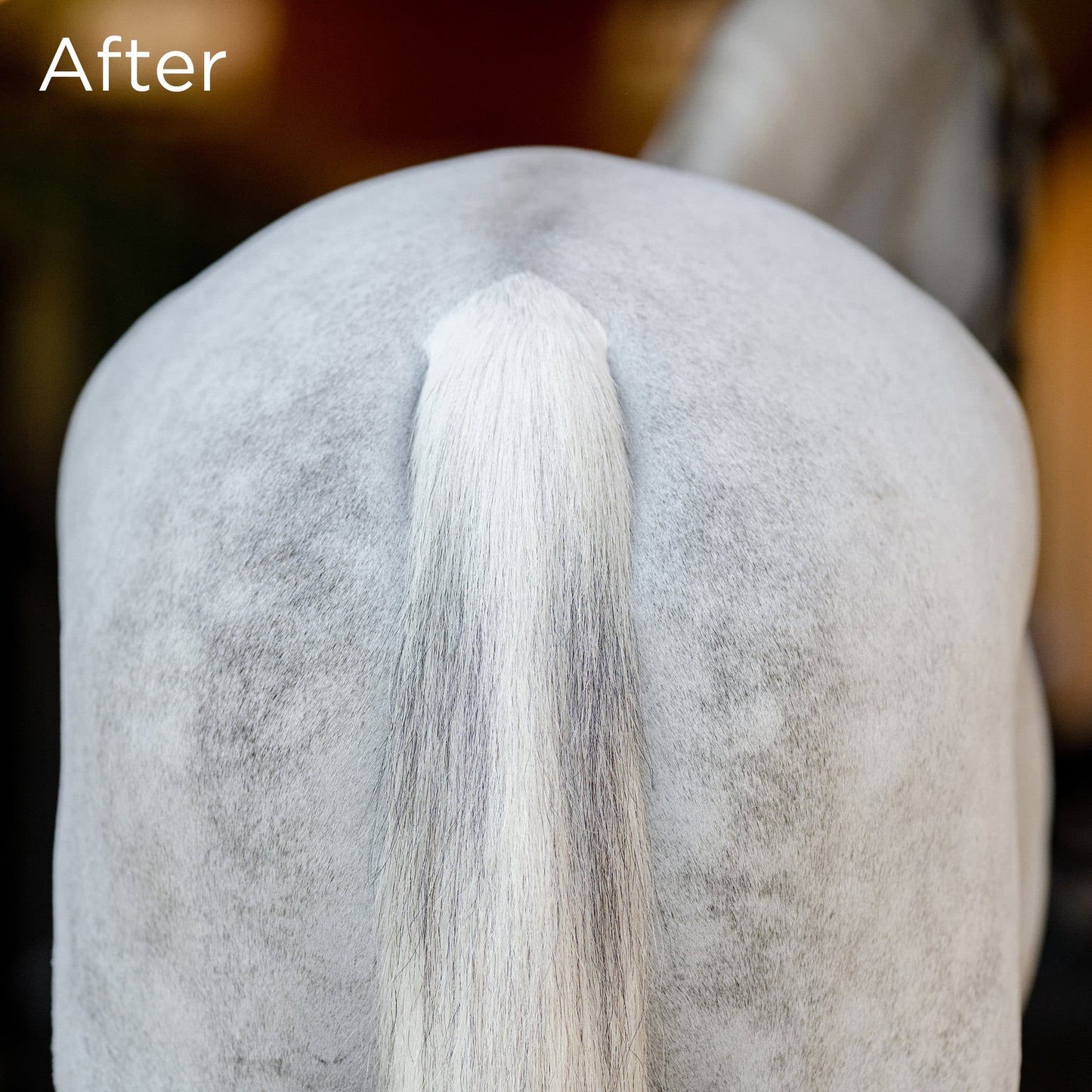 No Hassle TailWrap™