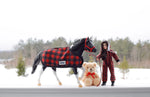 Breyer Cinders | Holiday Pony Playset